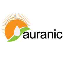 Logo Auranic Company