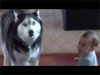 Dog and baby talk to eachother